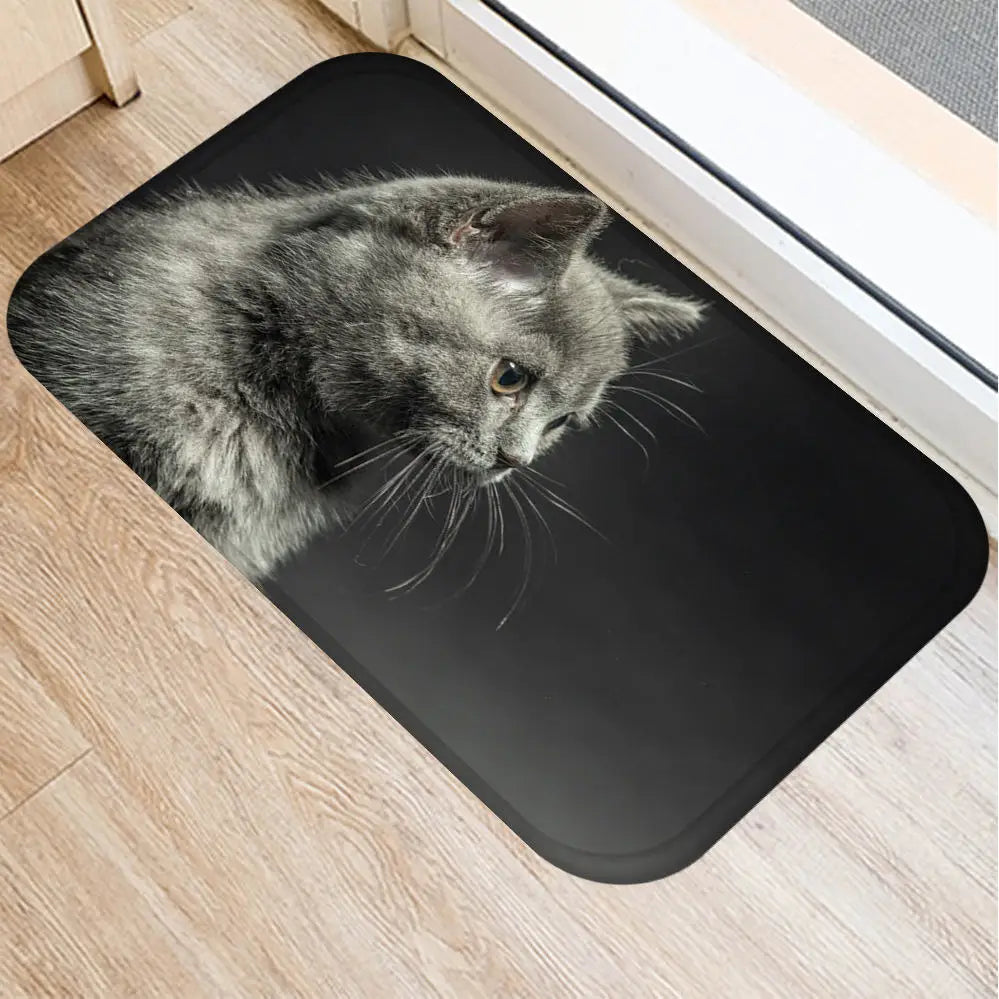 2pcs40*60cm Cute Cat Non-slip bath Mat