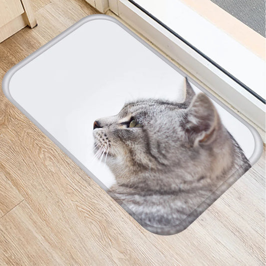 2pcs40*60cm Cute Cat Non-slip bath Mat